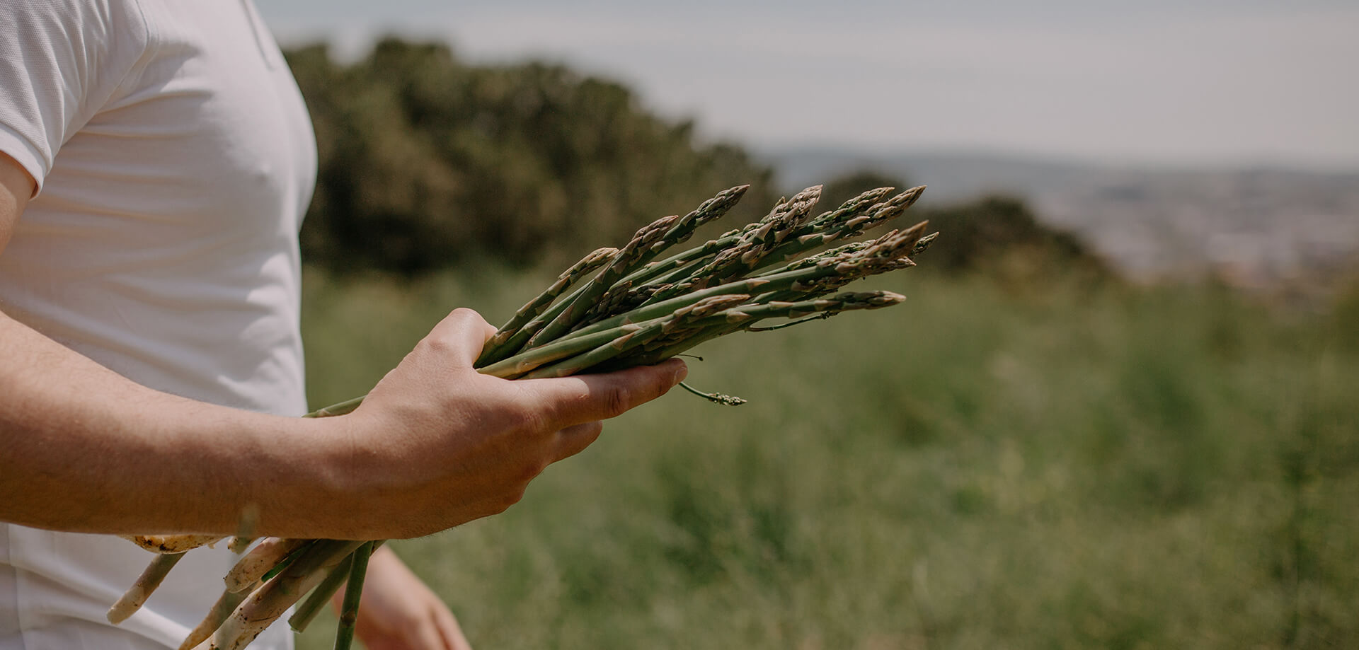 farm to table